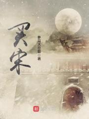 买宋pro