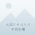 妖族功法一览表