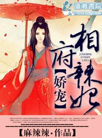 娇宠皇妃全文阅读