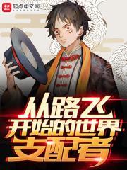 未来路飞穿越回海贼世界