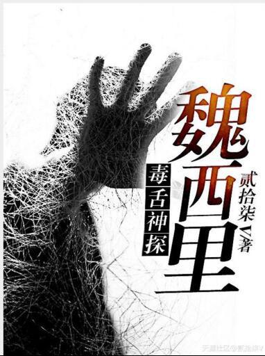 毒舌神探魏西里txt