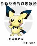 口袋妖怪一般系有什么用