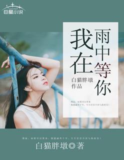 我在雨中等你中文