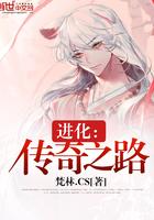 传奇进化无错精校版txt