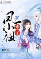 小祖宗那来的凤印的名字