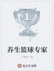 养生篮球何力